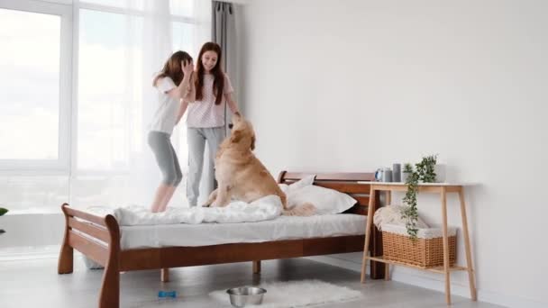 Gadis melompat di tempat tidur dengan anjing retriever emas — Stok Video