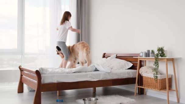 Flicka hoppar i sängen med golden retriever hund — Stockvideo