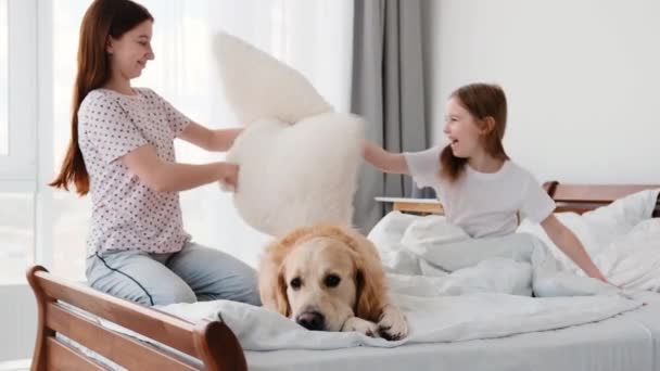 Gadis dengan bantal dan anjing golden retriever — Stok Video