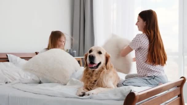 Meninas com travesseiros e cão golden retriever — Vídeo de Stock