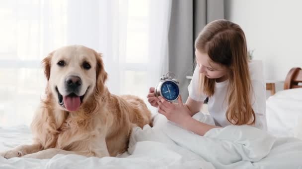 Дівчина з годинником і золотим собакою-ретривером — стокове відео