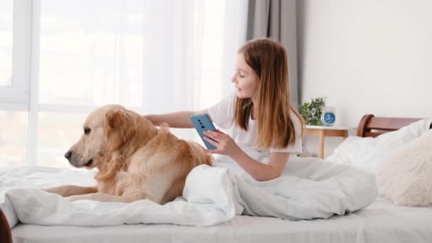 Fata cu câine de aur retriever și smartphone — Videoclip de stoc