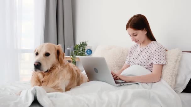 ผู้หญิงที่มีแล็ปท็อปและสุนัข Retriever ทอง — วีดีโอสต็อก