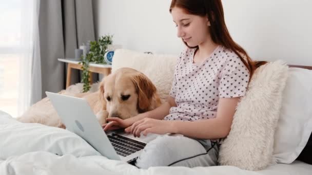 Dizüstü bilgisayarı ve golden retriever köpeği olan kız. — Stok video