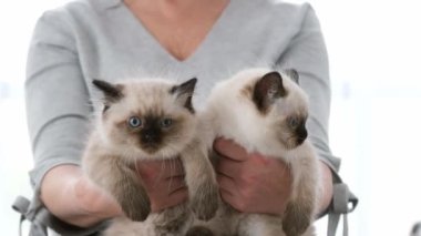 Paçavra kedi yavruları olan bir insan.