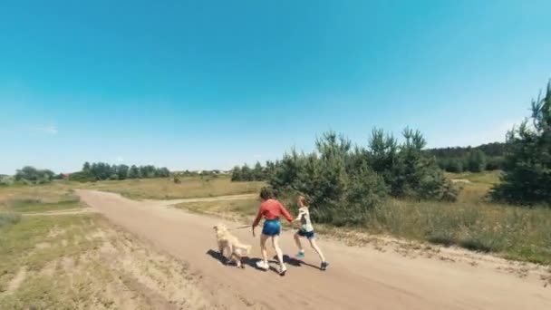 外に黄金の回収犬を持つ家族 — ストック動画