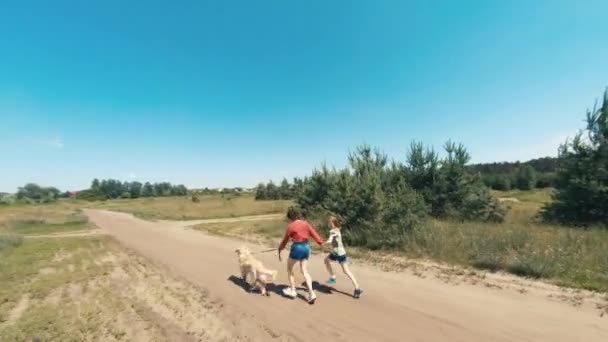 Familia con perro golden retriever afuera — Vídeos de Stock