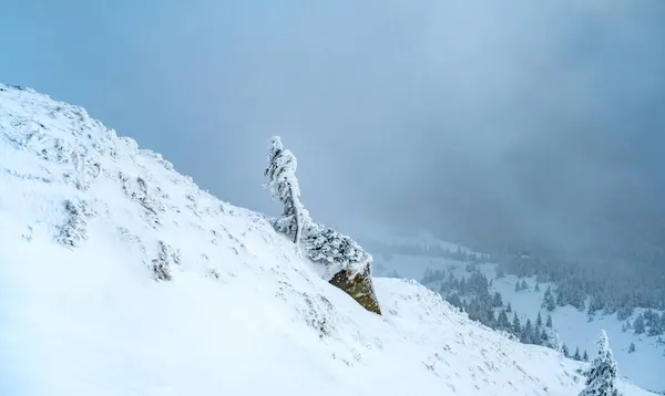 พื้นที่ภูเขาที่มีหิมะตกและเมฆ — ภาพถ่ายสต็อก