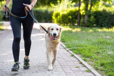 Golden retriever köpeğiyle koşan kız
