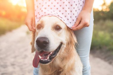 Golden Retriever ve Doğa Kızı
