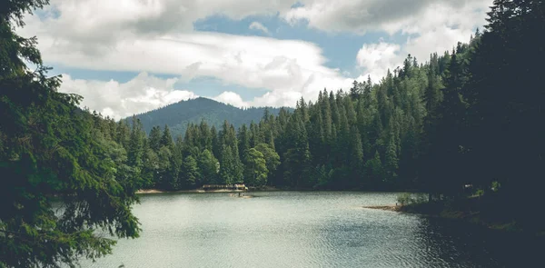 Lago Synevir incorniciato da boschi carpatici — Foto Stock