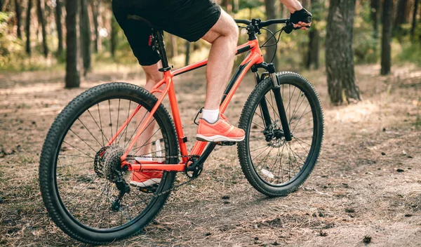Montar en bicicleta a través del bosque de pino — Foto de Stock
