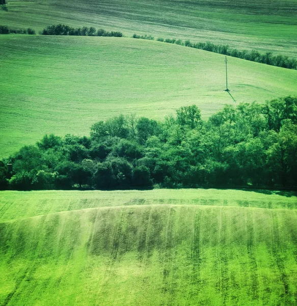 Campos verdes paisaje rural — Foto de Stock