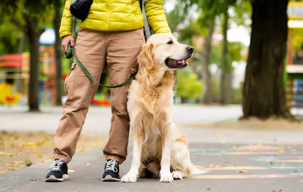 Golden retriever köpeği olan kız