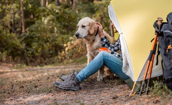 Кемпинг в горах леса с золотой ретривер собака — стоковое фото