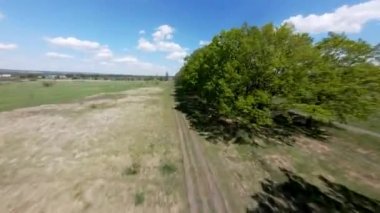 Ağaçlı hava manzarası