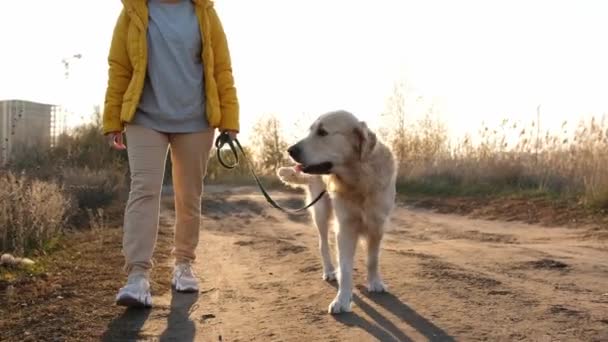Flicka med golden retriever hund — Stockvideo