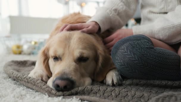 Pige med golden retriever hund – Stock-video