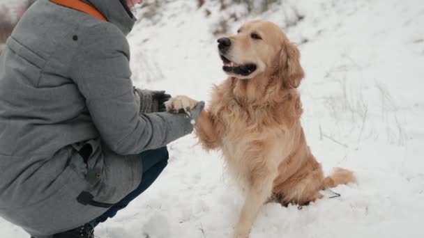 Chica con perro golden retriever en invierno — Vídeos de Stock