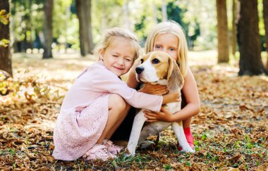 Küçük kızlar av köpeğiyle oynuyorlar.