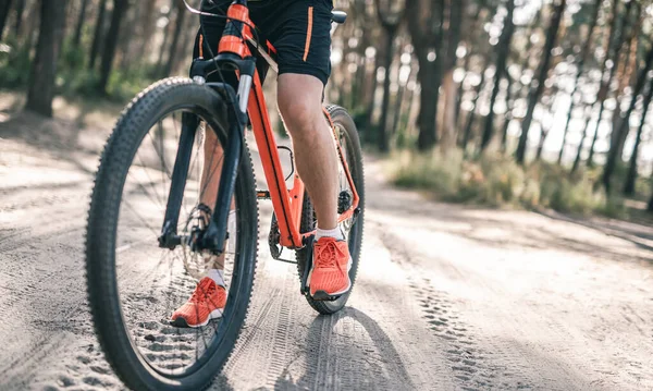 Jazda rowerem przez las sosnowy — Zdjęcie stockowe