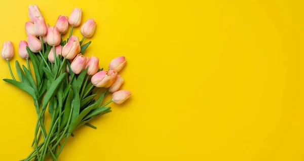 Tulipas rosa isolado no fundo amarelo — Fotografia de Stock