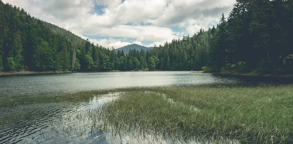 Lago con vista foresta — Foto Stock