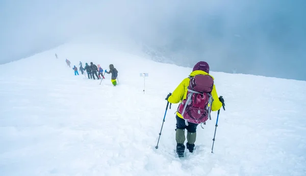 Grupo turístico que desciende después de conquistar la montaña —  Fotos de Stock