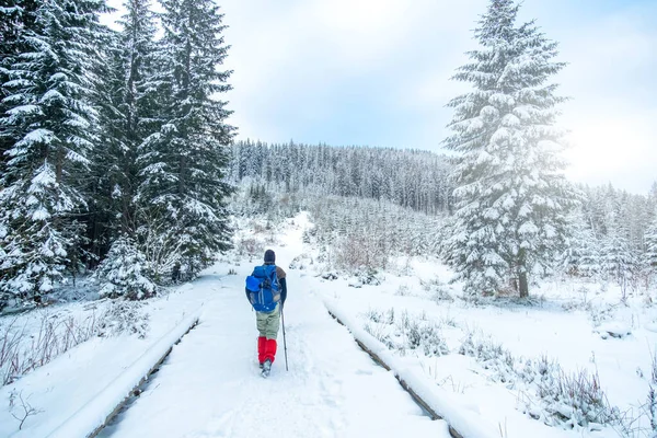 Ensam turist börjar stiga snöiga berg — Stockfoto