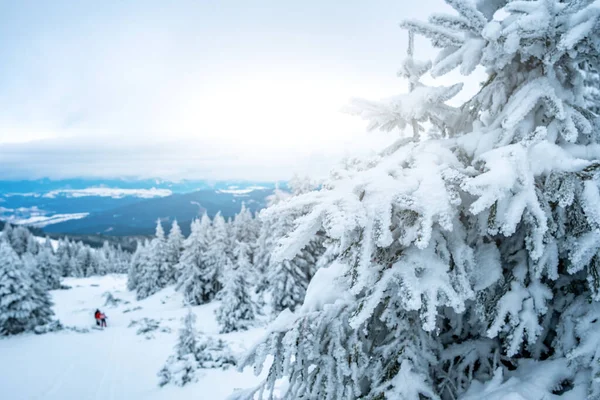 Paysage hivernal pittoresque de montagne — Photo
