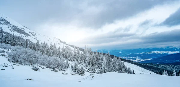 Paysage pittoresque de la chaîne de montagnes d'hiver — Photo