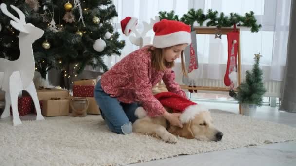 女の子は犬にサンタの帽子を置こうとする — ストック動画