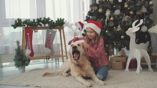 Dog with little girl under christmas tree — Stockvideo