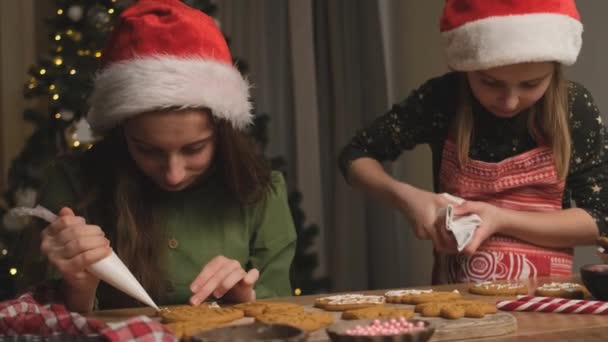 Sisters decorating gingerbread on christmas tree background — Stock Video