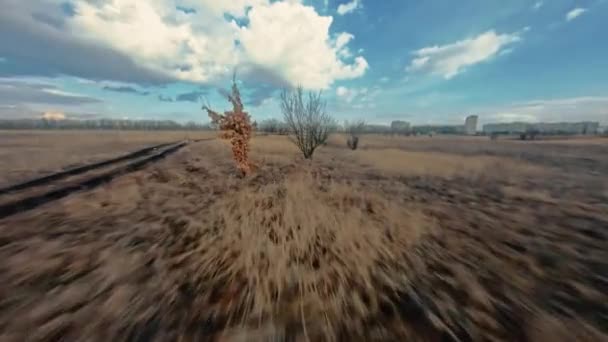 Вид с воздуха на осеннее поле и грунтовую дорогу — стоковое видео