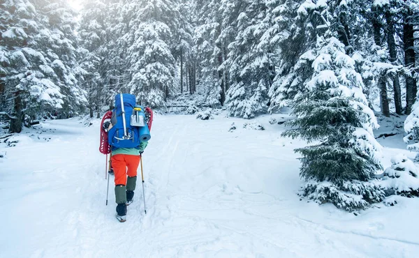 Turista con attrezzatura per pernottare in montagna invernale — Foto Stock