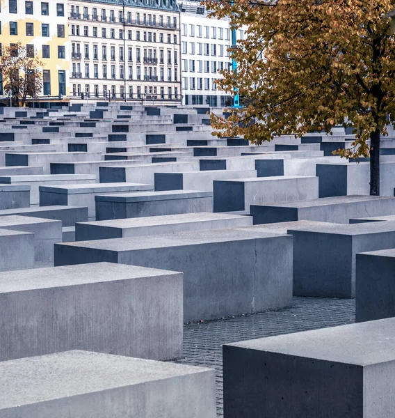 Strom mezi betonovými deskami Památníku holocaustu — Stock fotografie