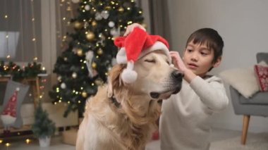 Mutlu çocuk, Golden Retriever köpeğine Noel Baba şapkası takarken evdeki Noel ağacının yanında yerde oturuyor.