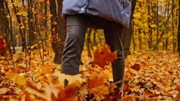 Folhas Laranja Voam Baixo Dos Pés Menina Jogando Parque Outono — Vídeo de Stock
