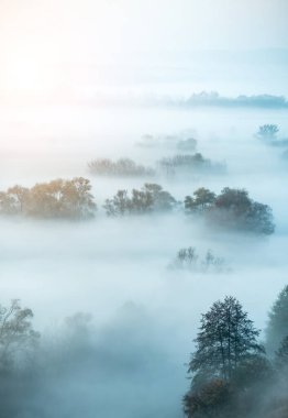 Sonbahar sisiyle kaplı atmosferik manzara