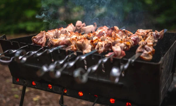 Barbecue Grilled Meat Skewer Brazier Summertime Preparing Pork Steaks Picnic — Stock Photo, Image
