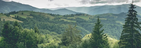 Panoramic View Mountains Valley Hills Green Forest Cloudy Day — Stock Photo, Image