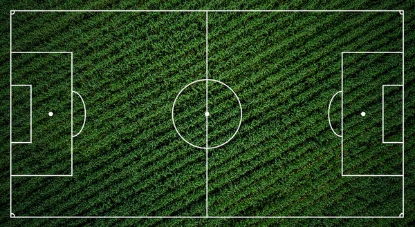 Green Football Field Soccer Field Illustration Green Court White Stripes — ストック写真