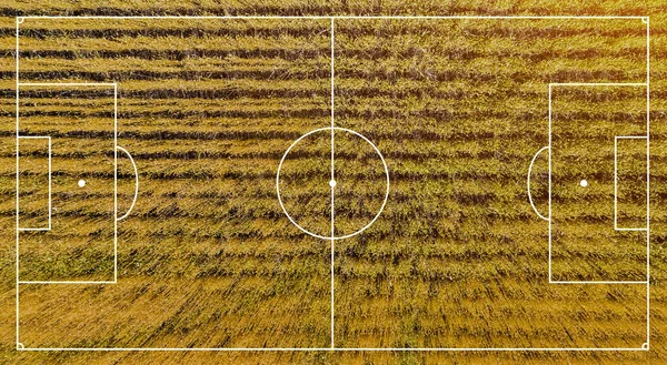 Concept of football field. Soccer field illustration pattern. Yellow wheat realistic background top view. Textured court with white stripes for creating games.