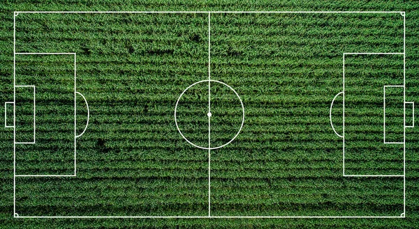 Football field with lawn. Soccer field illustration. Green grass realistic background top view. Textured green court with white stripes for creating games.