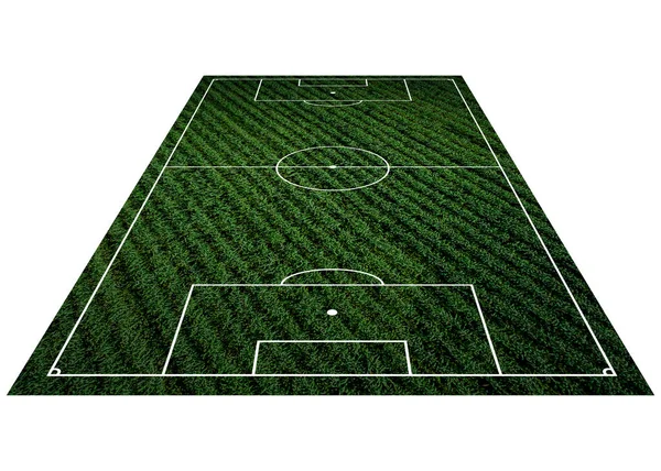 Concept Football Field Soccer Field Illustration White Canvas Green Grass — 스톡 사진