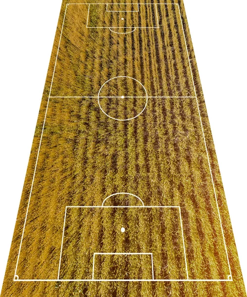 Concept Football Field Soccer Field Illustration White Canvas Yellow Wheat — ストック写真