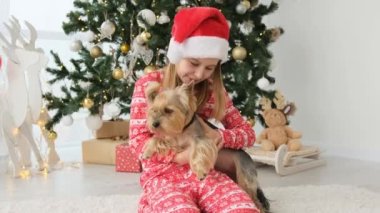 Child girl hugging dog terrier near to Christmas tree in New Year time. Pretty kid wearing Santa hat with doggy pet in decorated room