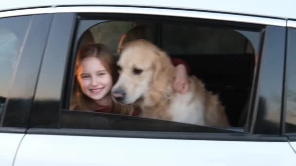 Girl Child Golden Retriever Dog Sitting Car Looking Pretty Kid — Stockvideo