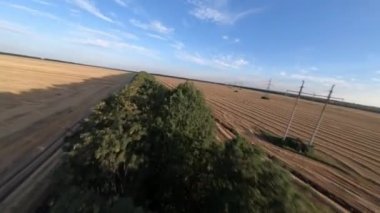 Tarımsal hasat tarlaları arasındaki yeşil ağaçlar çizgisi, kulak manzarası